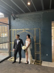 A713C446 4BE0 46A6 8CB3 1B236E2F0D2D 1680599893 Wire Frame Gold Arch