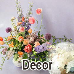 decor event rentals magnolia event group mobile cat MEG-Home